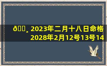 🌸 2023年二月十八日命格（2028年2月12号13号14号的 🐵 特别日子）